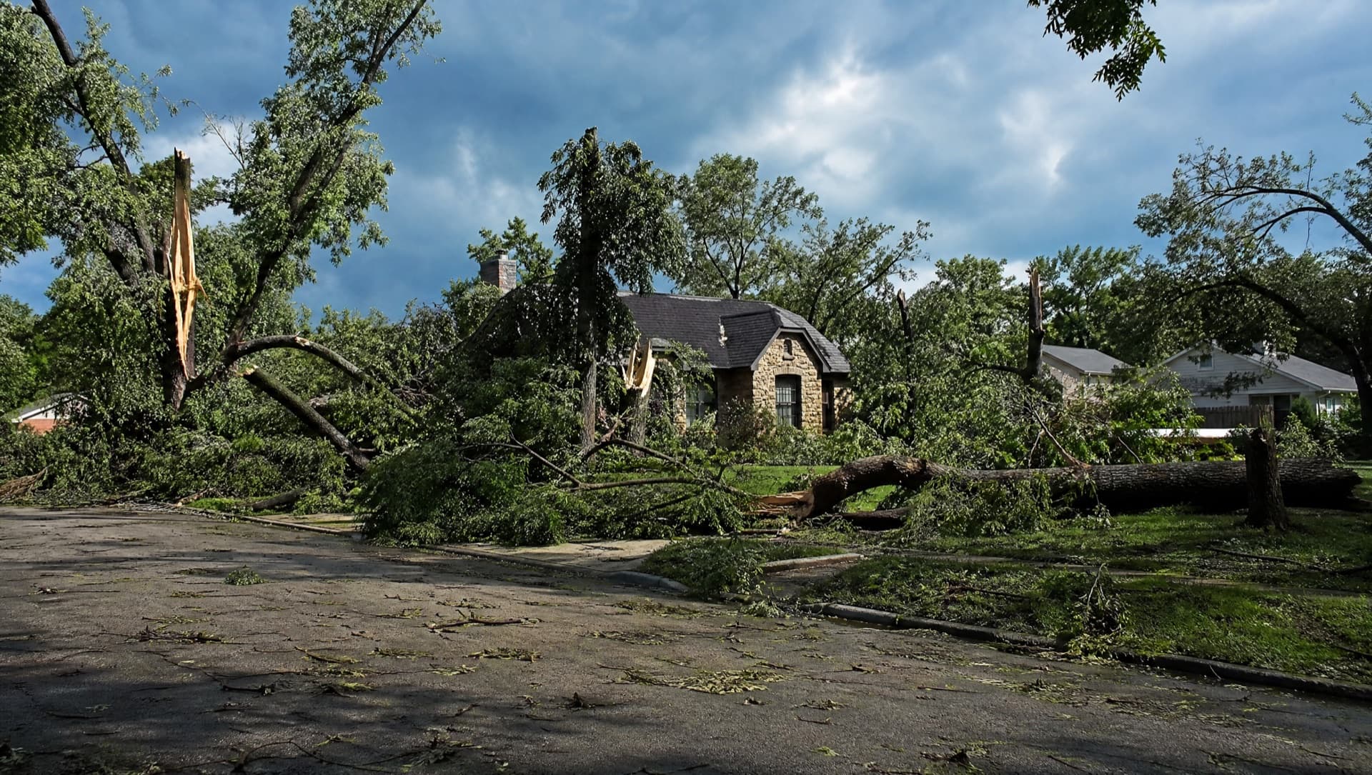 What to Do When a Storm Damages Your Trees in Killeen, TX