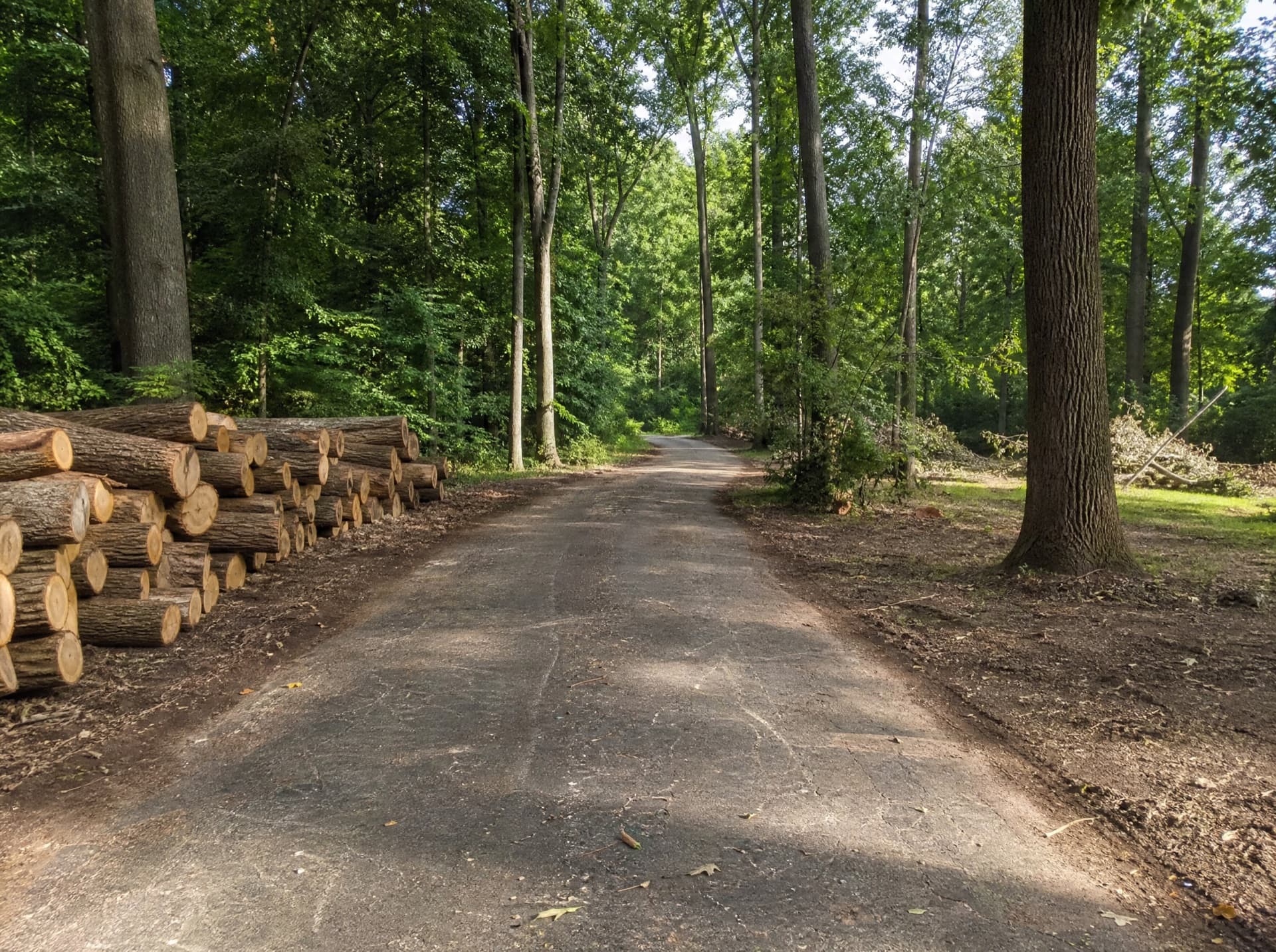 Completed storm cleanup with a cleared driveway and neatly stacked logs in Belton TX