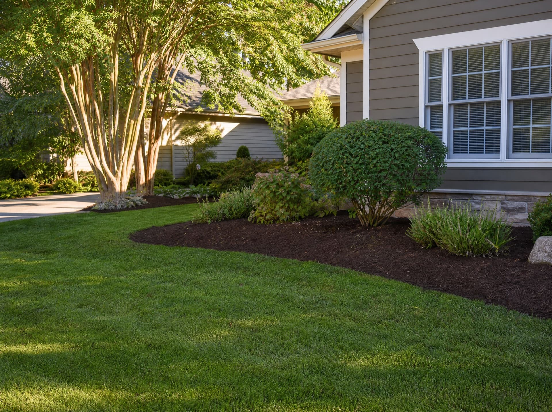 Tree stump ground down and yard restored with fresh mulch in Temple TX