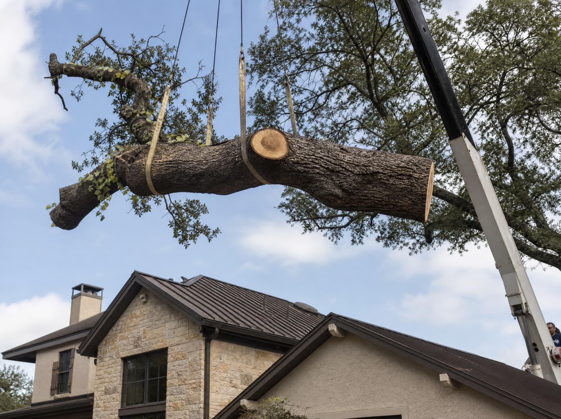 Large oak limb lifted by crane over a home during a careful removal in Killeen TX