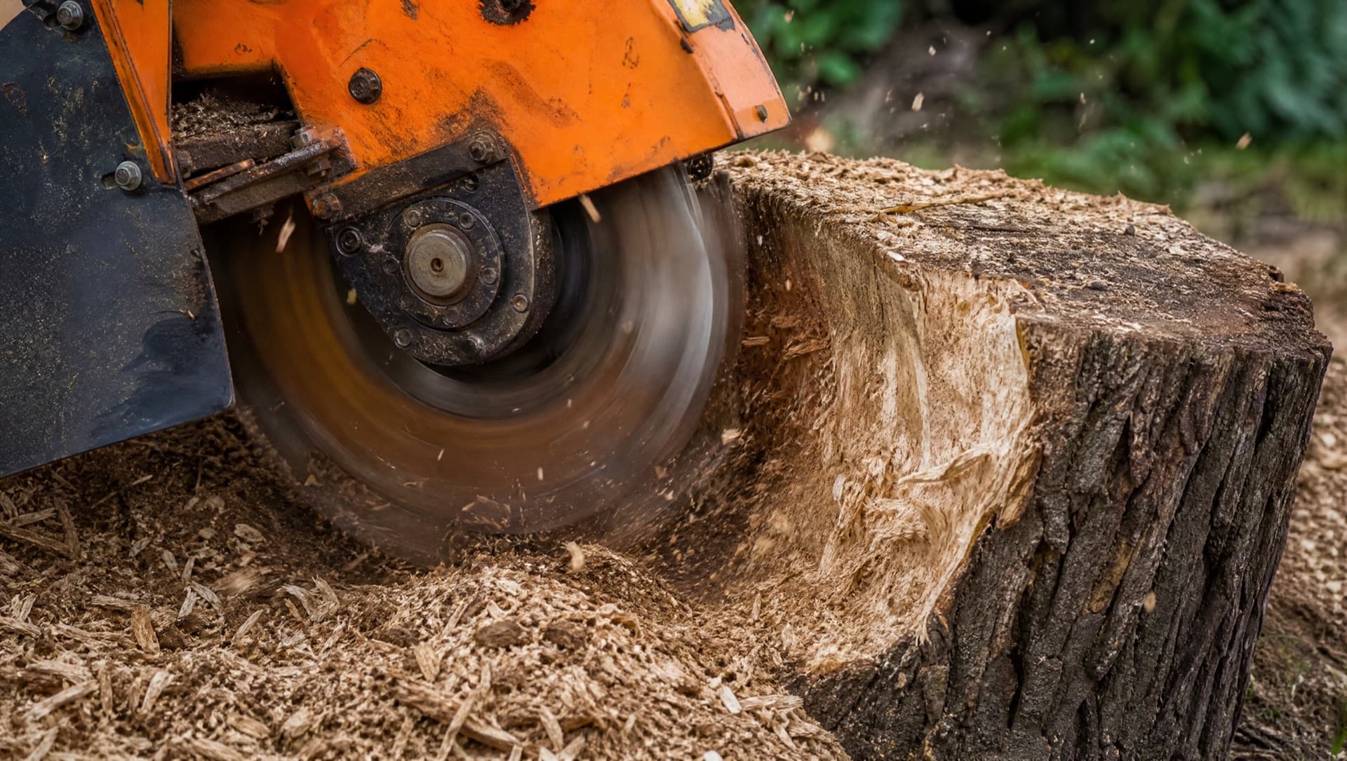Stump Grinding & Removal in Bryan, TX by Raymundo Tree Service